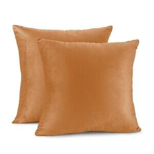 Porch and den conser throw pillow covers